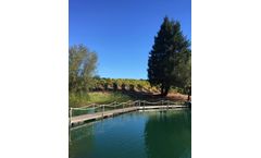 Ultrasonic Irrigation