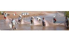 Natural Resources Services