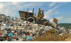 Flow Solutions for Biomass