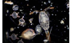 FlowCam for Aquatic - Phytoplankton and Zooplankton Research