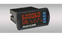 DataView - Model LI55 - Level Controller