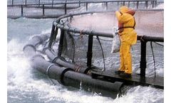 Aquaculture Services