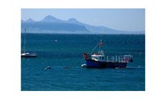 Coastal Management and Environmental Assessment