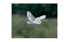 Bird Survey and Report Services
