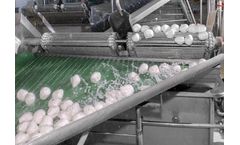 Water Reuse for Safe Food Production