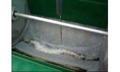 SIF Particulate Filters