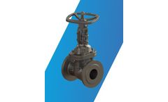 Valco - Parallel Seat Gate Valve