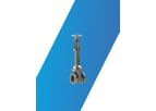 Valco - Cryogenic Applications Gate Valve