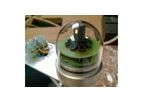 Stand Alone Sun Duration Sensor