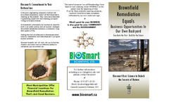 Brownfield Remediation Services Brochure