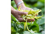 Magic Gro Super - Plant Microbiome Enhancing Biostimulant for Foliar Spray