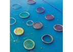 Bioclean Aqua - Soil & Water Probiotic for Aquaculture - Penaeus Monodon