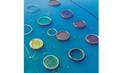 Bioclean Aqua - Soil & Water Probiotic for Aquaculture - Penaeus Monodon