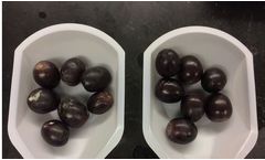 Organic Light Disinfection for Shelf Life Extension