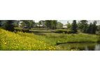 Nurture Native Plant Landscapes