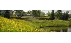 Nurture Native Plant Landscapes