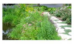 Shoreline Stabilization Products
