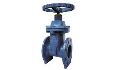 SAMJIN - Double Sealing Resilient Seated Gate Valves