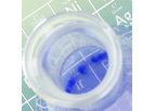 Applied Chemistry for EHS Professionals™