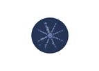 Phytoplankton Analysis Services