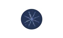 Phytoplankton Analysis Services