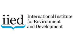Business unusual: how business and investment pioneers are transforming forest and food supply chains
