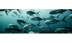 Odour and VOC Abatement Systems for Fish Feed