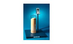 Schenck - Platform Scales