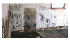 Mold and Indoor Air Quality Services
