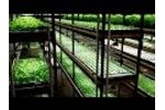 Aquaponics - Providing expertise and equipment to address your needs! Video