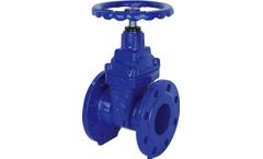Brandoni - Model 20E900 Series - Flat Body Soft Seated Gate Valve