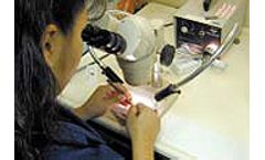 Asbestos Analysis