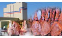Wastewater treatment for the meat and derived industry