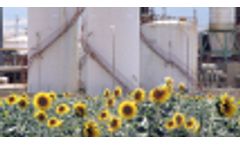 Wastewater treatment for the biofuels