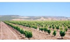 Wastewater treatment for the winery