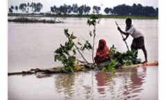 UN-backed forum to study climate forecasting and sustainable farming