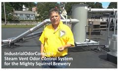 The Mighty Squirrel Brewery Odor Control Problem Analysis and Solution: The Steam Vent Odor Control System