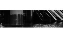 Mold and Environmental Remediation Services