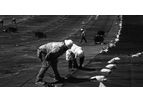 Geomembrane Installation Services