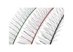 Nixalite ColorCoat - For Bird Spikes