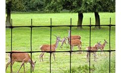 Nixalite TENAX - Model Max -Pro- DF 1A180357 - Strength Deer Fence