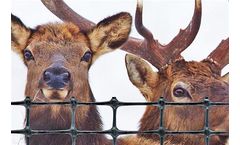 Nixalite TENAX UltraMax - Model DF 2A150107 - Deer & Elk Fence