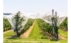 Nixalite - Model HNET 25X100 - Anti Hail Protection Netting
