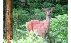 Nixalite Premium - Model DF PPK - Deer Fence Posts