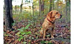 Nixalite BOUNDARY - Model DF 1A110457 - Small Animal Fence