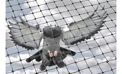 Nixalite - Model K-Net HT - Bird Netting
