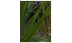 Aquatiss - Pond Material