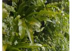 Vertiss - Vertical Garden
