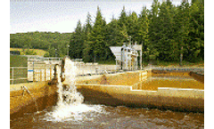 Chemical metering for the wastewater industry