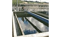 Sludge transfer and sludge feed applications